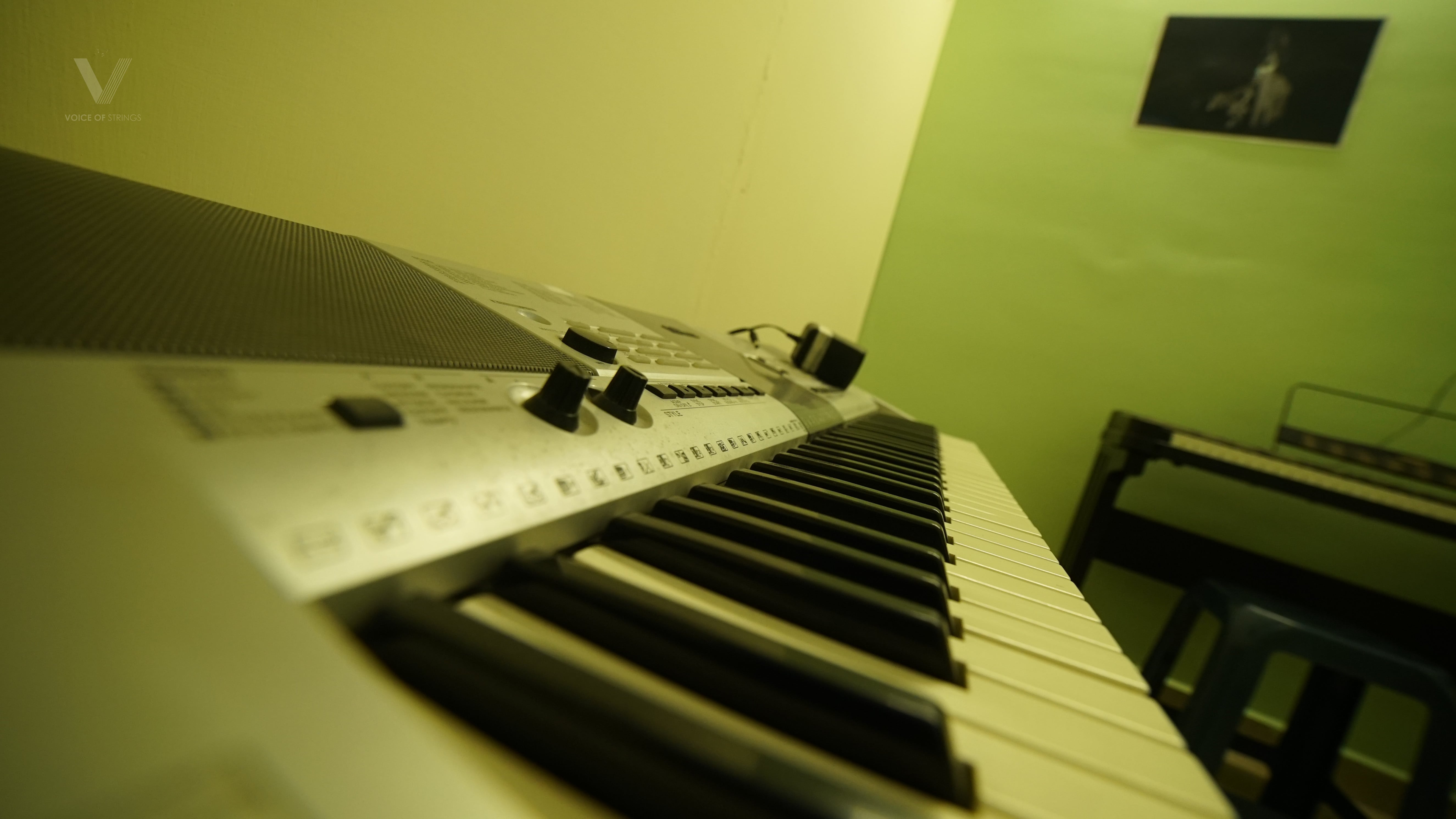 Voice of Strings Music School